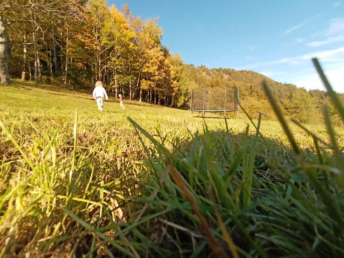 Waldner'S Ferienwohnung Hermagor-Pressegger See Zewnętrze zdjęcie