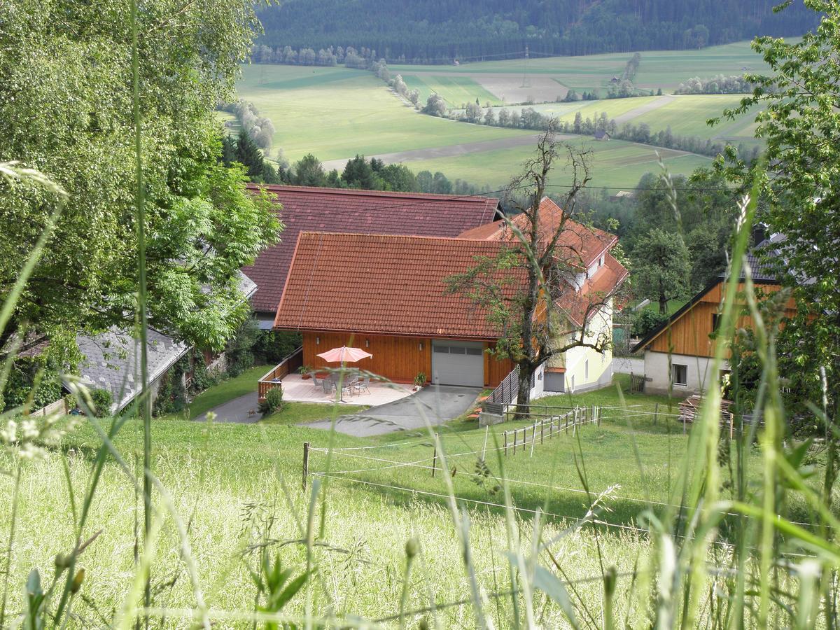Waldner'S Ferienwohnung Hermagor-Pressegger See Zewnętrze zdjęcie